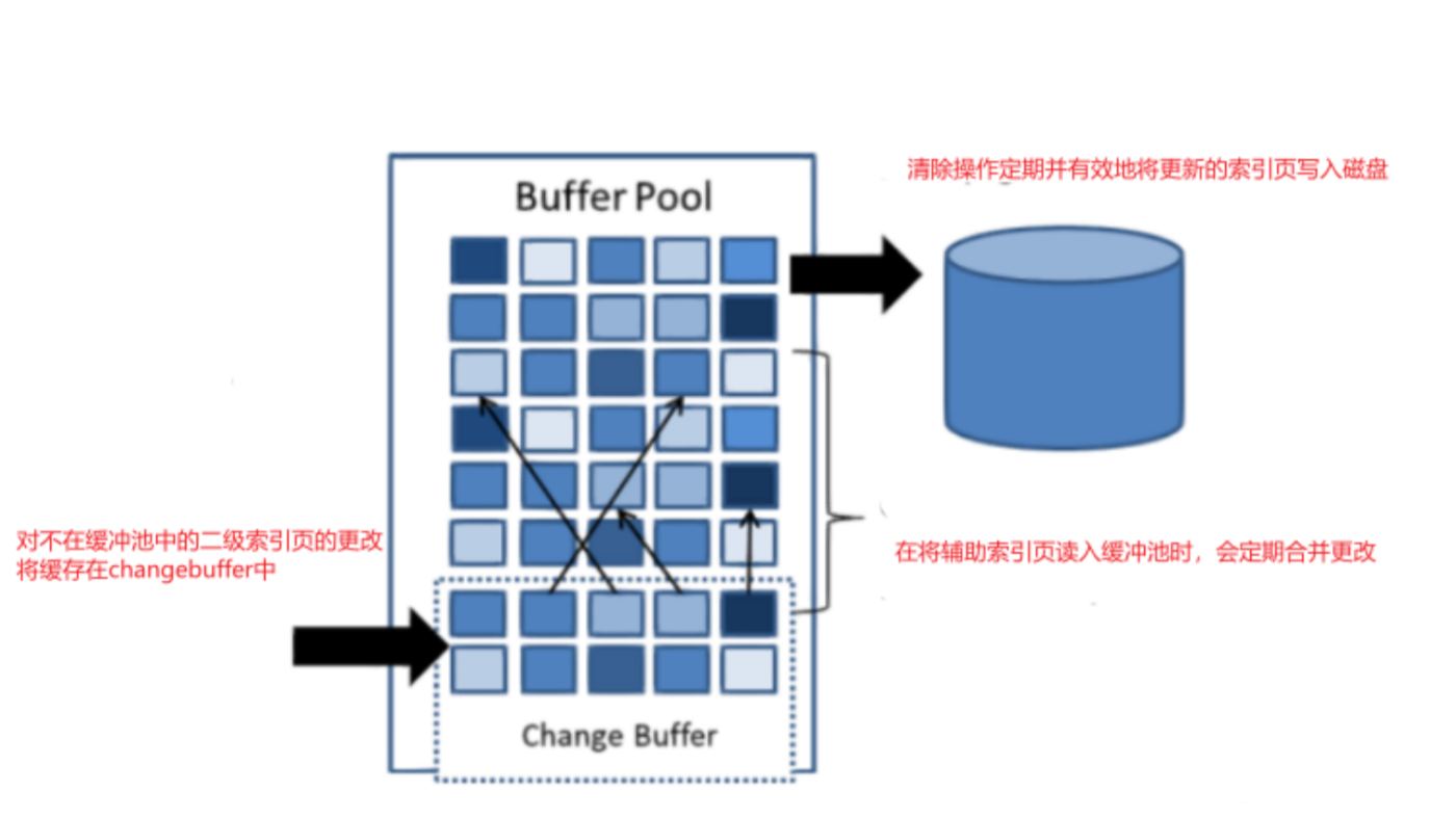 image-20241219101546326