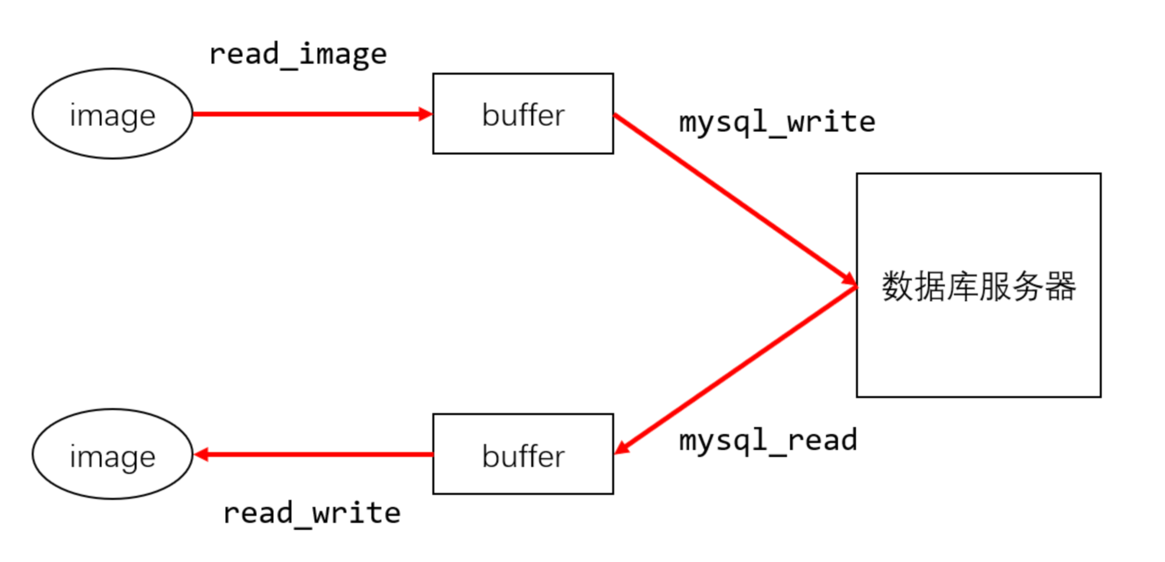 image-20241219102255982